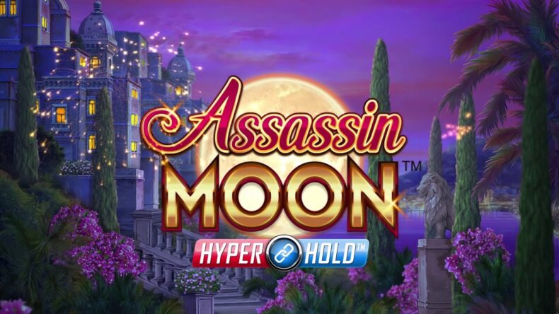 Игровой слот Assassin Moon