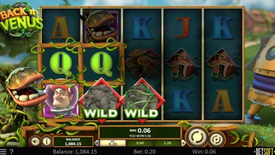 Внешний вид Back To Venus