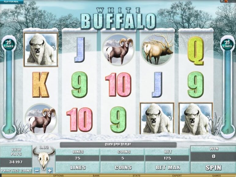 Внешний вид White Buffalo