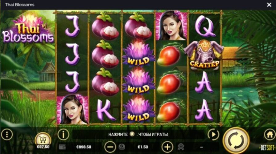 Бонусные опции Thai Blossoms