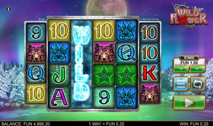 Бонусные Wild Flower