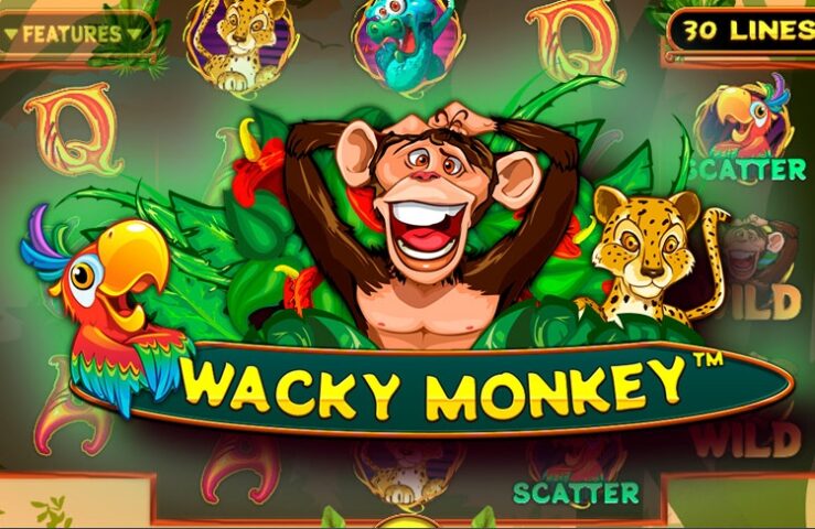 Игровой слот Wacky Monkey