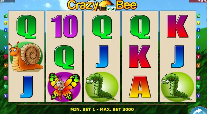 Дизайн слота Crazy Bee