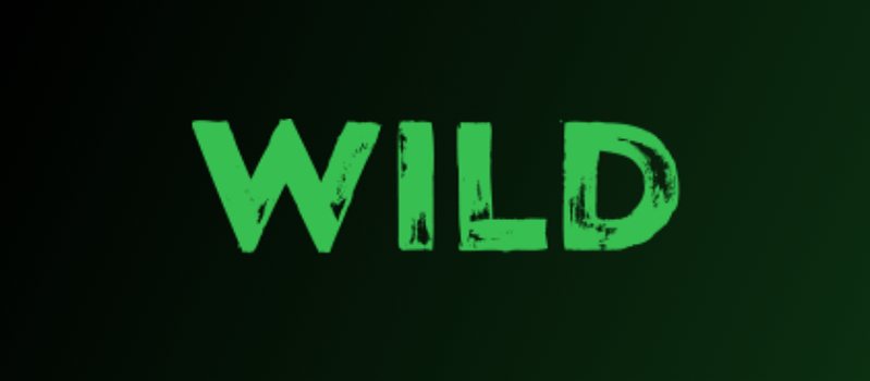 Обзор онлайн-казино Wild 