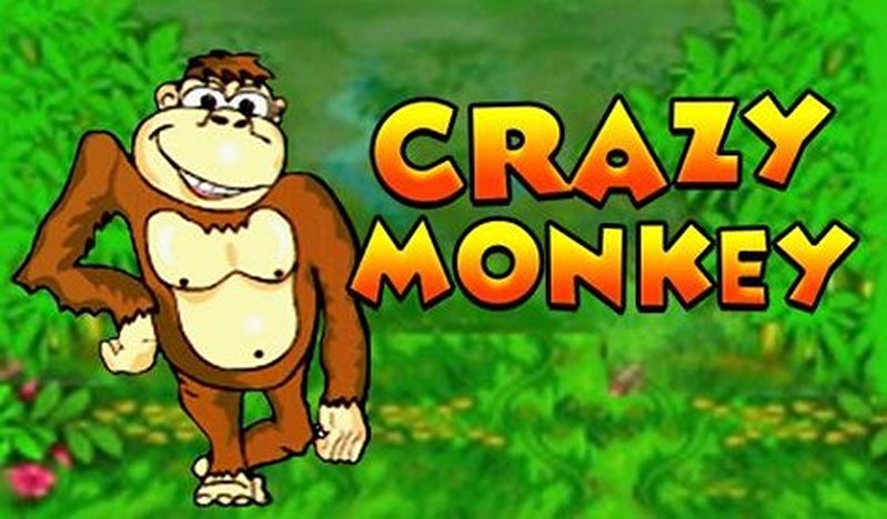 Обзор слота Crazy Monkey